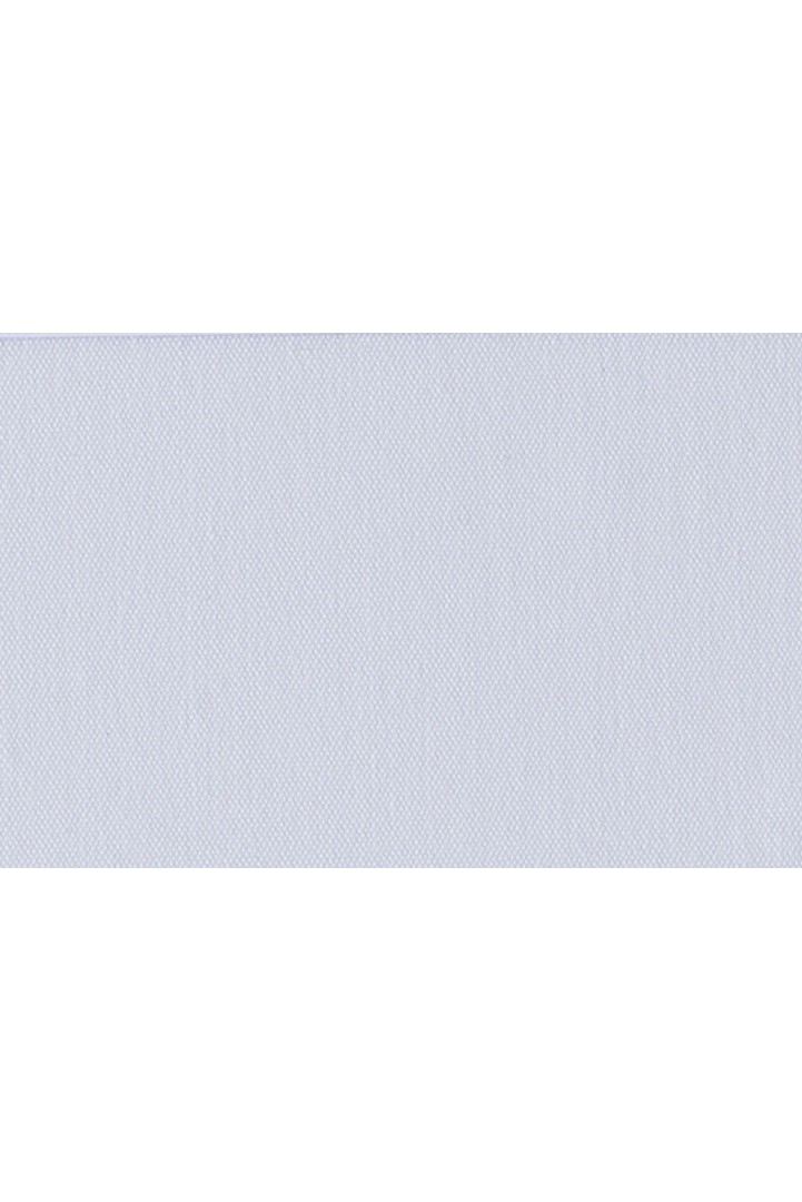 ESSAY