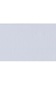 ESSAY
